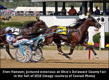 The ‘Go’ Is There For Elver Hanover