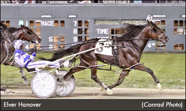 Elver Hanover A Perfect 10
