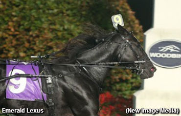 Emerald Lexus Wires Preferred Foes