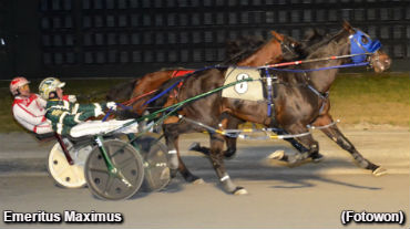 Hat Trick For Emeritus Maximus