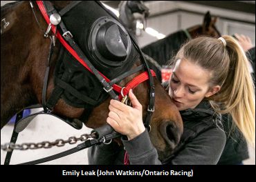 The Hope Horses Bring