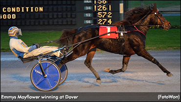 'Emmy' Has Rewarded Emmy