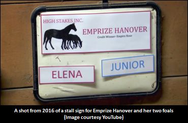 ‘Junior’ And ‘Elena’ Face Off