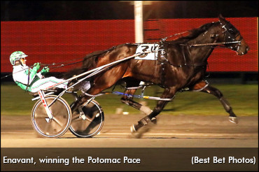 Enavant In Charge In Potomac