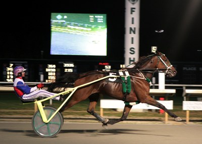 World Record For Enough Talk