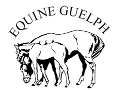 Equine Guelph Offers Online Survey