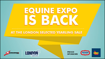 SC Teams With OLG, OR On Equine Expo