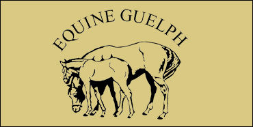 Equine Guelph's Research Radio