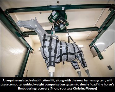 Recovery Harness Being Developed