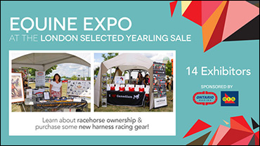 Equine Expo Set For London