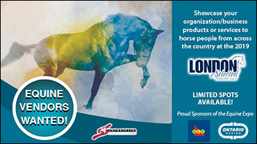 Equine Expo Deadline Reminder