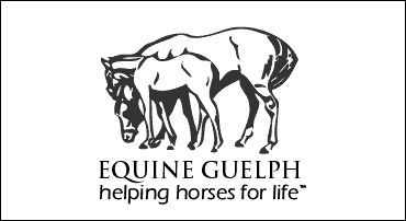 Equine Guelph Online Course Update