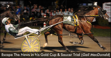 Escape The News Wins First Gold Cup & Saucer Trial 