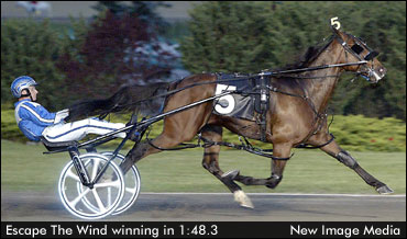 Escape The Wind Retires