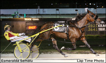 That's A Pair In 1:50.2 For Pavia Stable