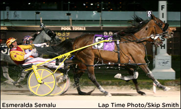 'Esmeralda' Just Up Over Bling