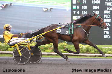 Esplosione, Duly Resolved Win Gold