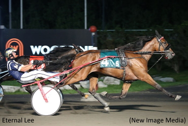 Trotters Tussle In Series Action