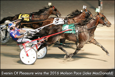 Molson Pace Field, Draw Set