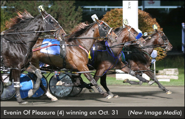 Evenin Of Pleasure Repeats At Woodbine