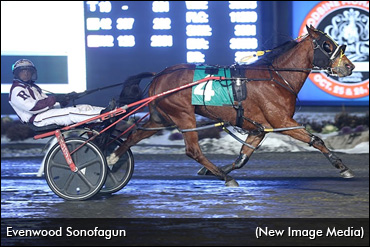 Owner Thrilled With Canadian Experience