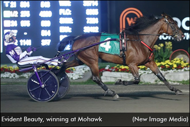 Evident Beauty Sold, Retired