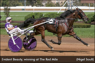 Filly's Track Preference Is 'Evident'