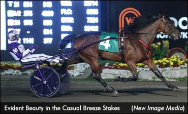 Trotting Fillies Flaunt It In Casual Breeze