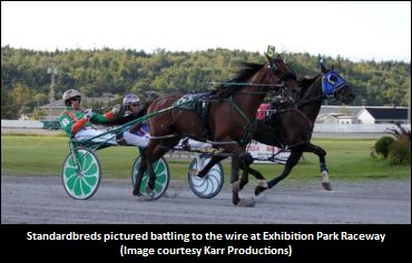 Stakes Renamed In New Brunswick 