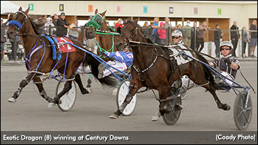 Exotic Dragon Holds In McClellan