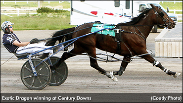 Fillies Flaunt Speed In ABSS Fillies Flaunt Speed In ABSS