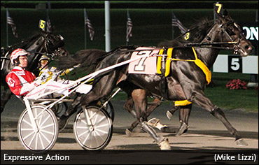 Lightly-Raced 2YO Ready For BC Elim