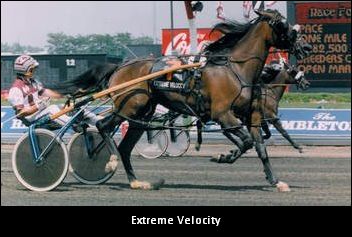 Extreme Velocity Passes