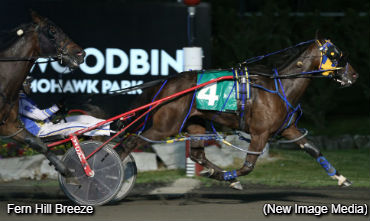 Make It Five Straight For ‘Fern’