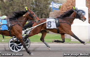 New Winners In Celias Counsel; Jackpot Hi 5 Carryover To $355K