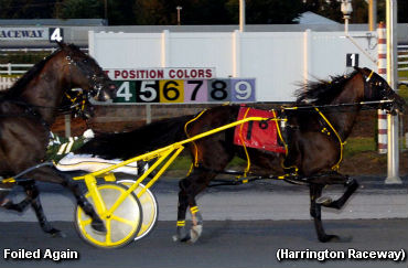 Quillen Elims Completed At Harrington