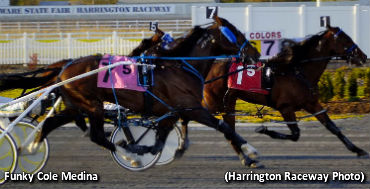 Harrington Kicks Off 65th Season