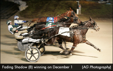 Fading Shadow Surges To Victory