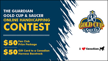 Gold Cup & Saucer Contest Extended