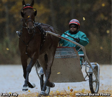 Teague Very High On Fancy Filly