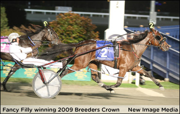 Fancy Filly Surpasses $1 Million In Lynch Memorial