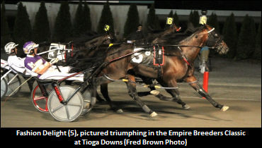 Fashion Delight With Race Face On