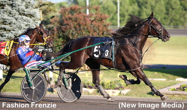 Trotters Tussle For Gold At Mohawk