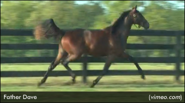 Lexington Yearling Sale Concludes