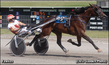 Fawkes Rises Out Of Obscurity