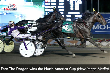 Fear The Dragon To Retire To Stud