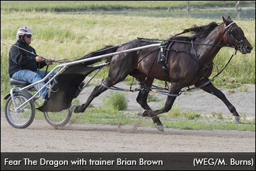 2017 Standardbred Poll – Week 7