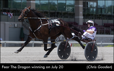 Fear The Dragon Scorches Meadows