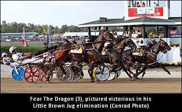 Update On ‘Dragon,’ ‘Britches’ Careers 