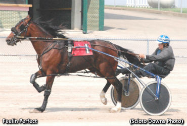 Feelin Friskie Freshmen Pace Sub-2:00  